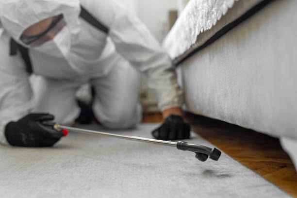 Professional Bed Bug Control technician working in Wood County County, WI